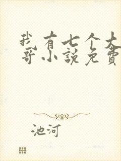我有七个大佬哥哥小说免费听书