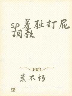 sp羞耻打屁股调教