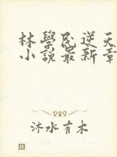 林学民逆天改命小说最新章节更新状态