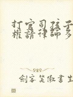 打官司孩子抚养权请律师多少钱