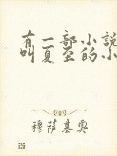 有一部小说主角叫夏至的小说