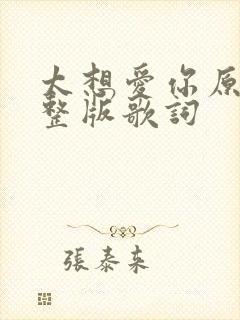 太想爱你原唱完整版歌词