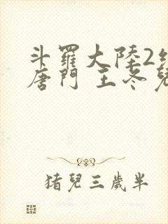 斗罗大陆2绝世唐门 王冬儿