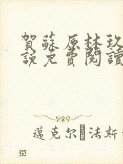 贺苏原林玖儿小说免费阅读