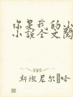 你是我的小确幸小说全文阅读