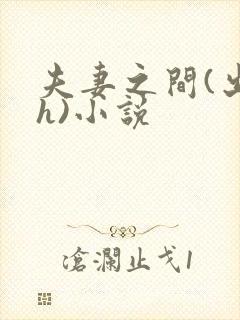 夫妻之间(出轨h)小说