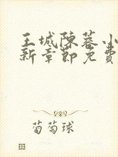 王城陈蓉小说最新章节免费阅读全文