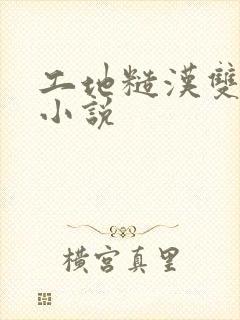 工地糙汉双男主小说