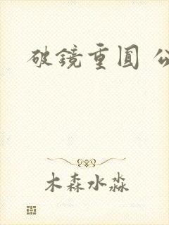破镜重圆 公司