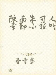 陈南朱可人最新章节小说叫什么名字