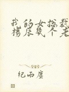 我的女总裁老婆杨辰几个老婆