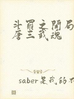 斗罗之开局揭露唐三武魂