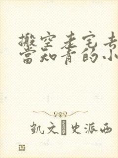 搬空老宅去下乡当知青的小说