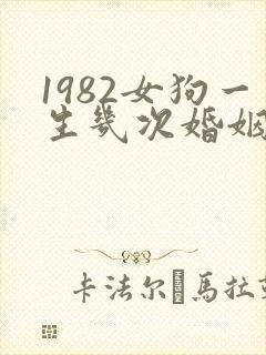 1982女狗一生几次婚姻