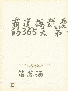 霸道总裁爱上我的365天 第一季