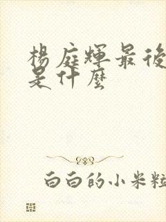 杨庭辉最后结局是什么