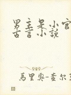 男主是小官吏的古言小说