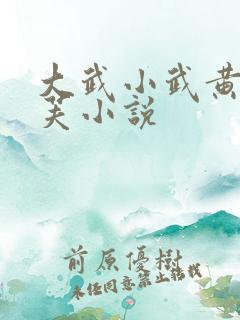 大武小武黄蓉郭芙小说