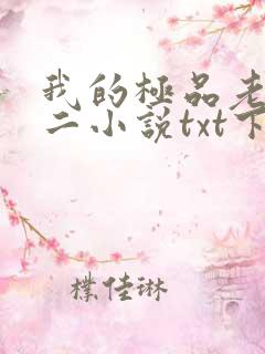我的极品老婆小二小说txt下载