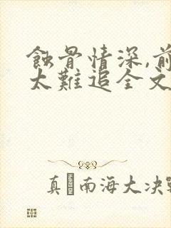 蚀骨情深,前妻太难追全文txt