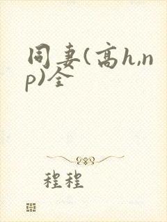 同妻(高h,np)全