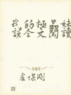 我的极品妹妹小说全文阅读免费