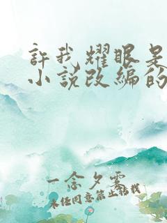 许我耀眼是什么小说改编的