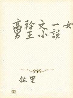 高干文一女多个男主小说