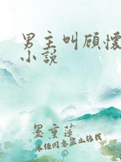 男主叫顾怀瑾的小说