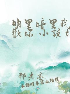 明里暗里我都喜欢你 小说 txt