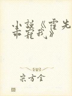 小说《霍先生乖乖宠我》