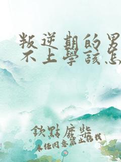 叛逆期的男孩子不上学该怎样去沟通教育