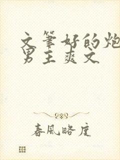 文笔好的炮灰双男主爽文