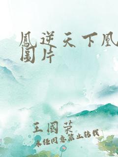 凤逆天下凰北月图片