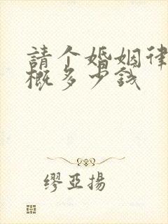 请个婚姻律师大概多少钱