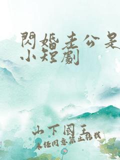 闪婚老公是豪门小短剧