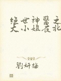 绝世神医之腹黑大小姐夜北