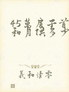 45万房子首付和月供多少钱