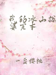 我的冰山总裁老婆完本