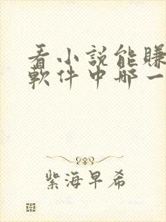 看小说能赚钱的软件中哪一个最好?