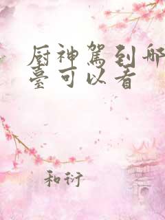 厨神驾到哪个平台可以看