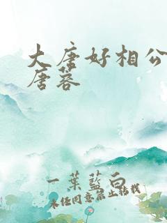 大唐好相公秦天唐蓉