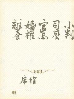 离婚官司小孩抚养权怎么判