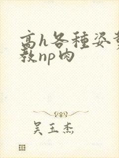 高h各种姿势调教np肉