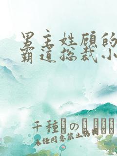 男主姓顾的所有霸道总裁小说