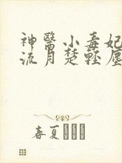 神医小毒妃上官流月楚轻尘