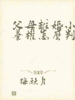 父母离婚小孩抚养权怎么判