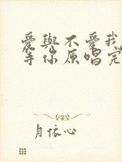 爱与不爱我都在等你原唱完整版