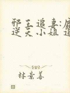 邪王追妻:废材逆天小姐 追书