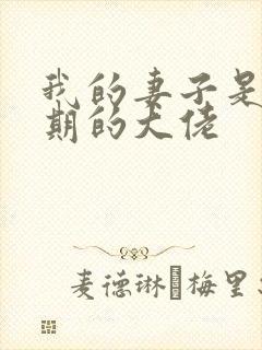 我的妻子是大乘期的大佬